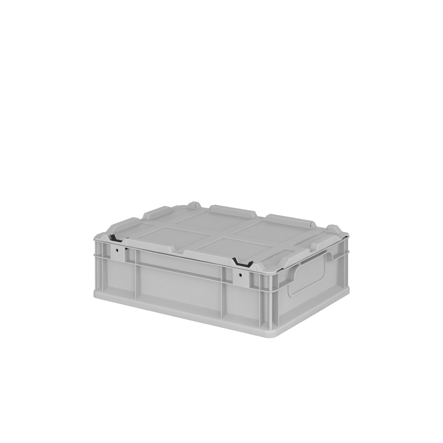 Transparente Aufbewahrungsbox aus Kunststoff, rechteckig mit stabilem Deckel und Griffen. Sie steht auf einer einfarbigen Unterlage. Die Box ist geeignet für die Lagerung und den Transport von Waren.