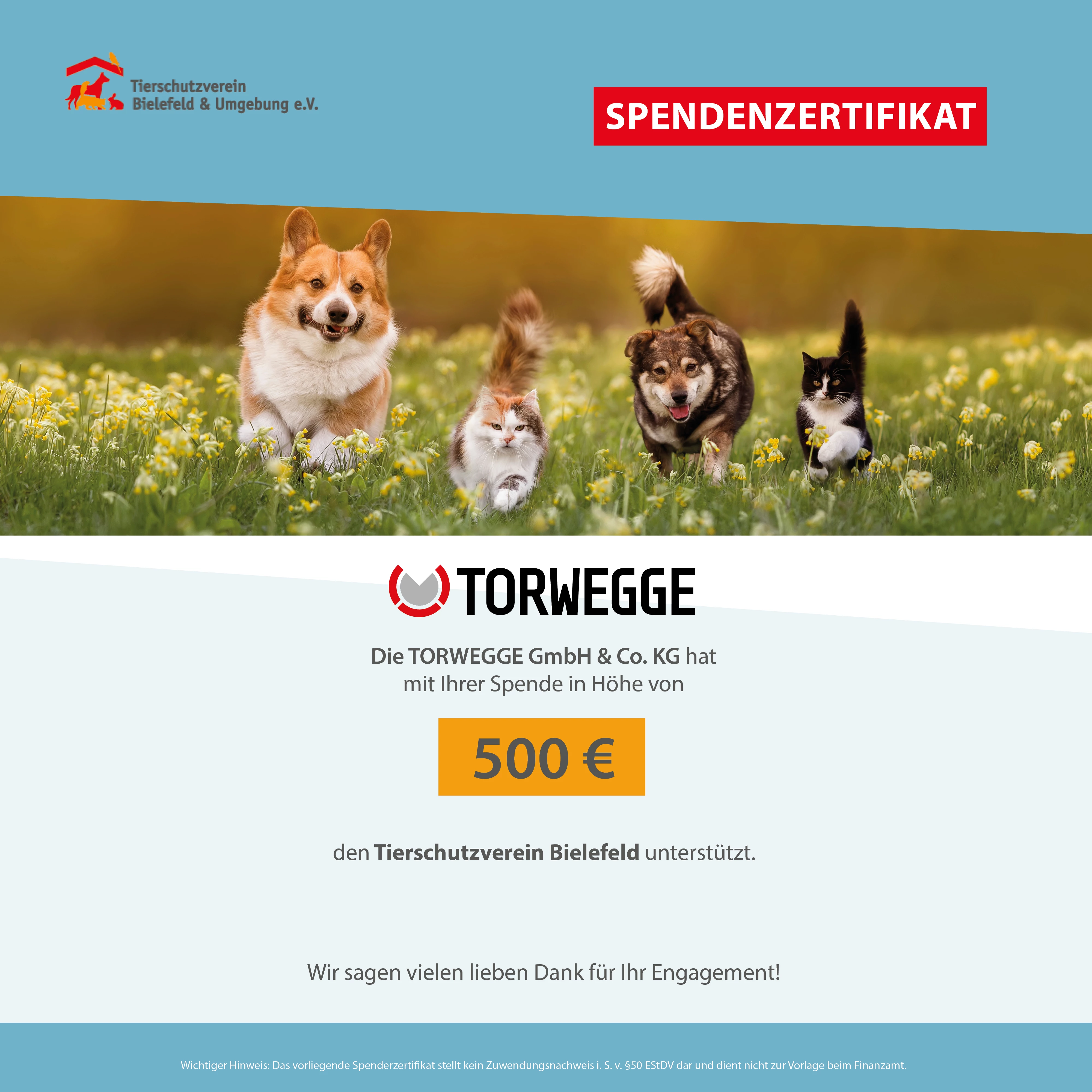 Spendenzertifikat für den Tierschutzverein Bielefeld, das die Spende von 500 € durch die TORWEGGE GmbH &amp; Co. KG bestätigt. Hintergrund zeigt spielende Hunde und Katzen in einer blühenden Wiese.